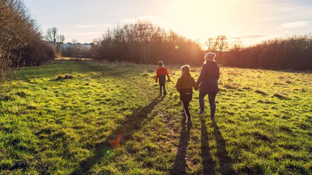 A family walking in a field as the sun sets.
